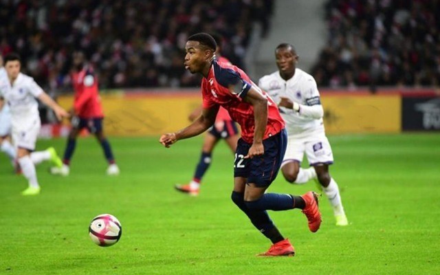 在德甲联赛 在德甲联赛